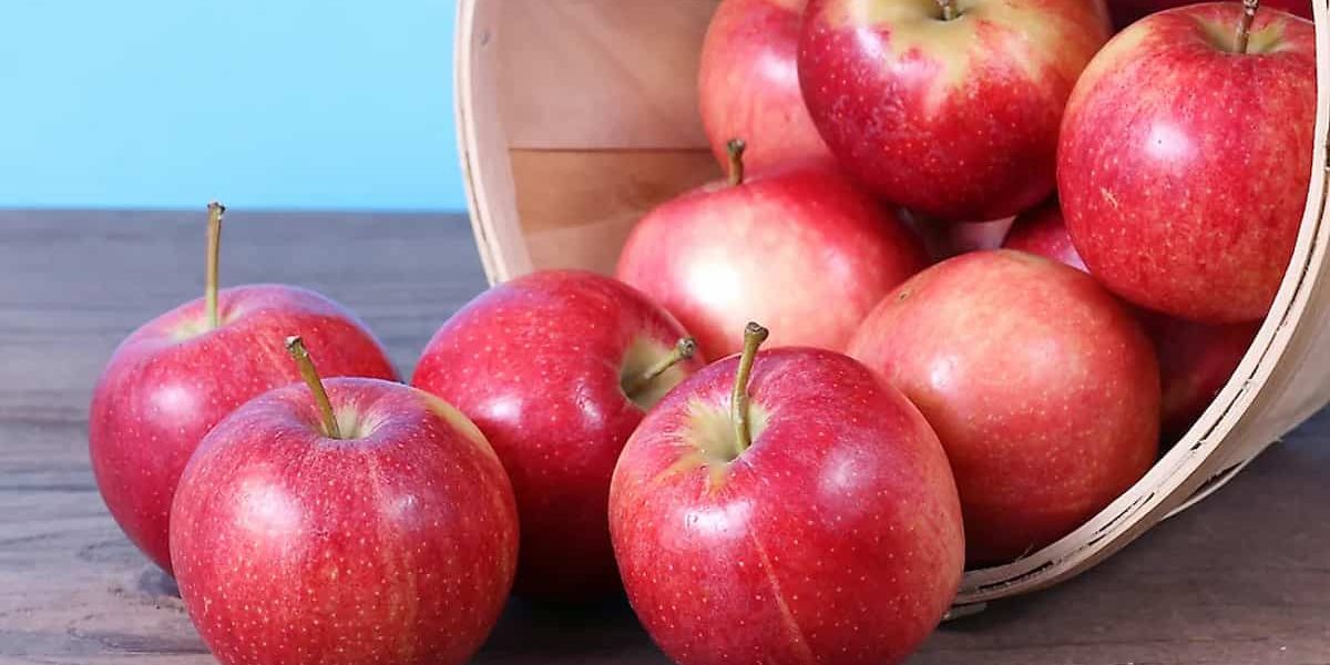 Facts about gala apples