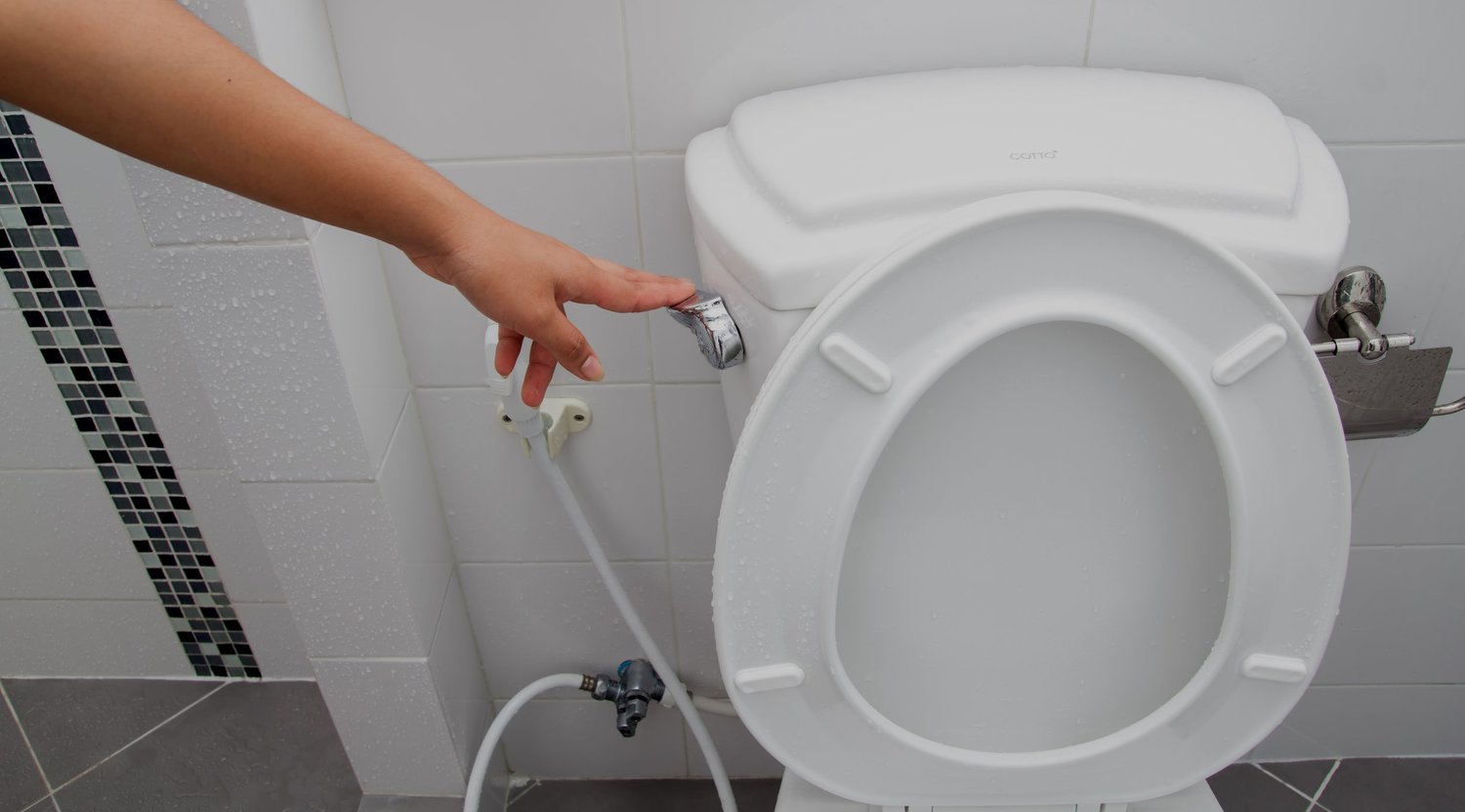 pressure assist toilet problems