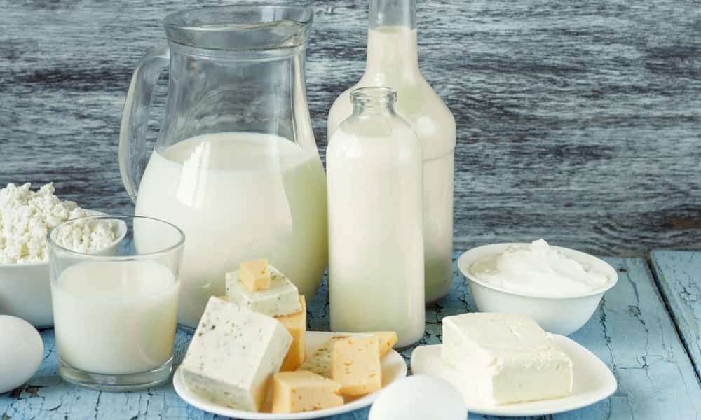 Katraj dairy products price list