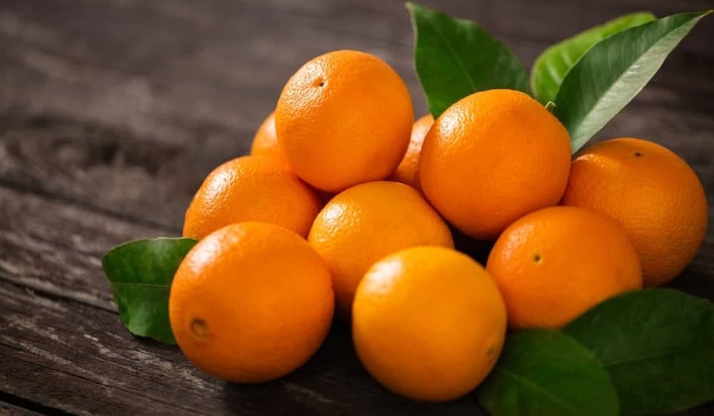 fresh Valencia orange sweet buy