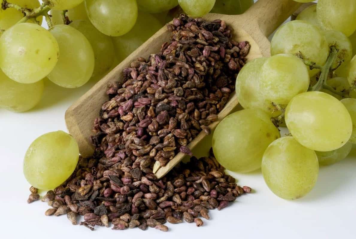 grape seed price