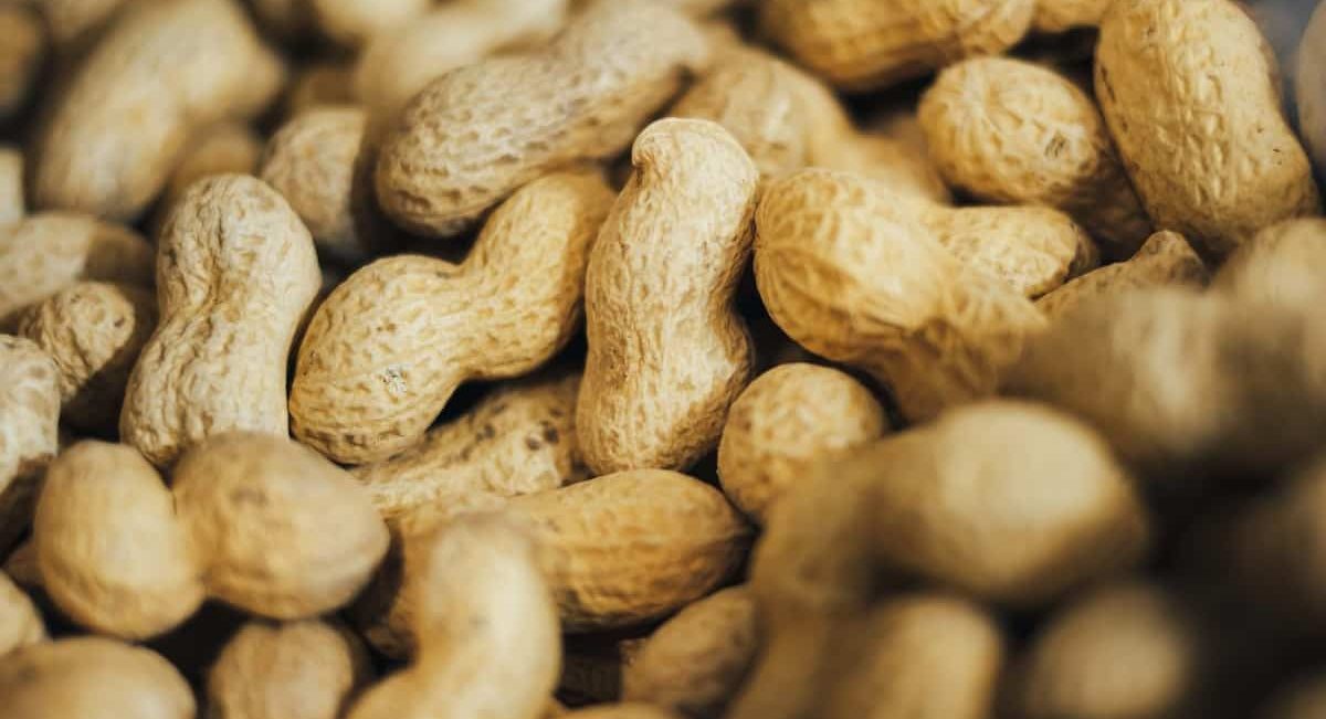 Organic valencia peanuts bulk