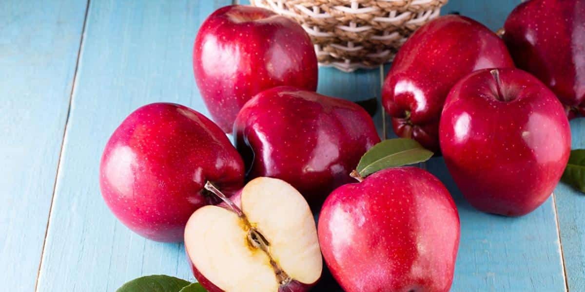 apple fruit export