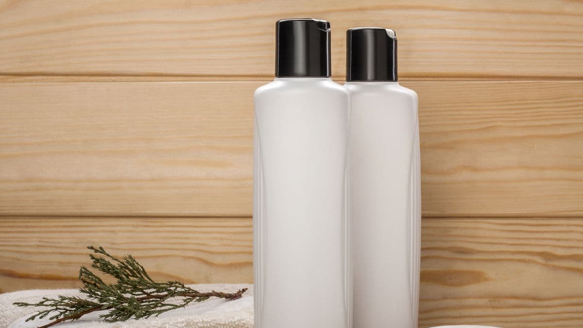 shampoo bar for dry scalp