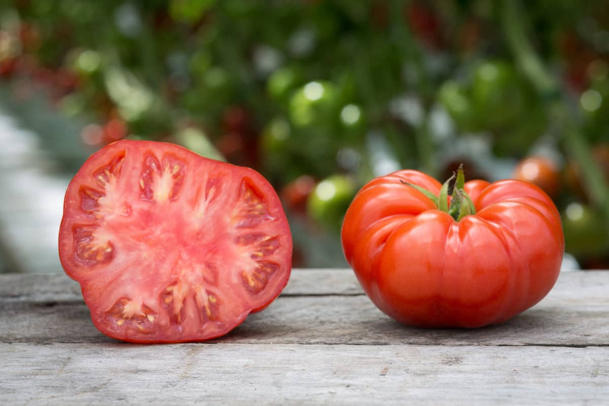 How to Grow Beefsteak Tomatoes 