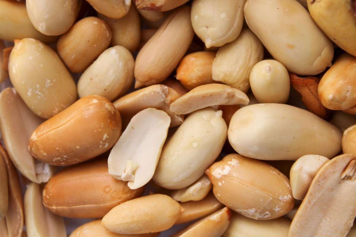 Salted peanuts advantages