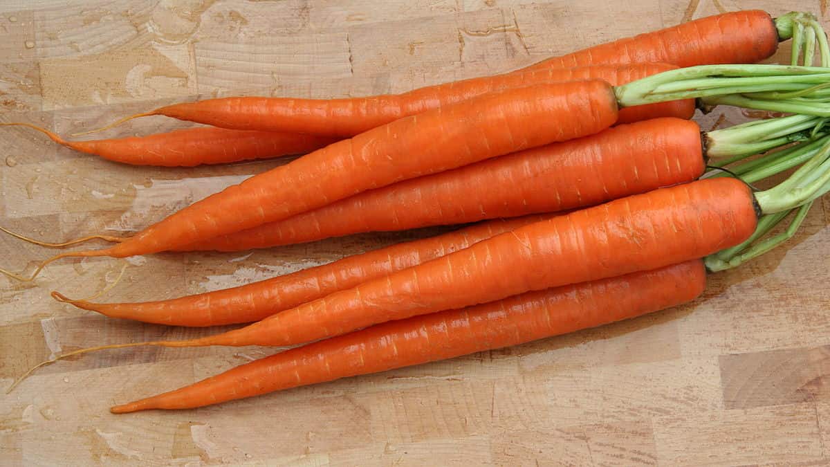 nantes carrots price per kg