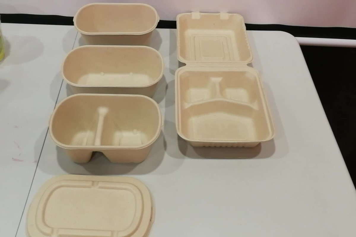 affordable Plastic disposable food containers with lids - Arad Branding