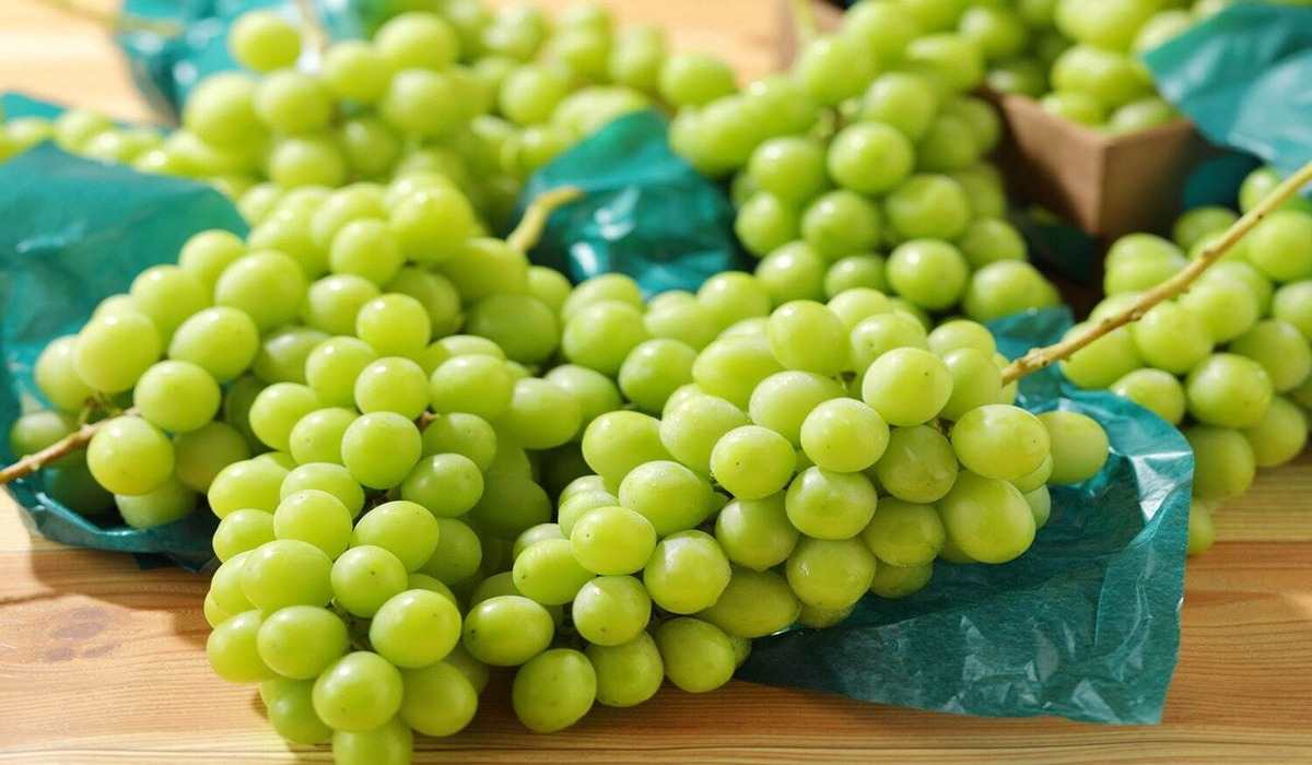 green grapes nutrition