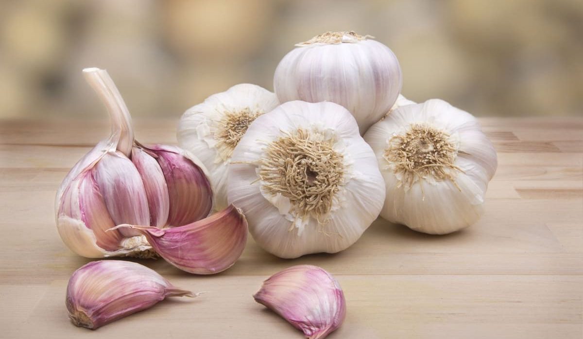 purple garlic and white garlic