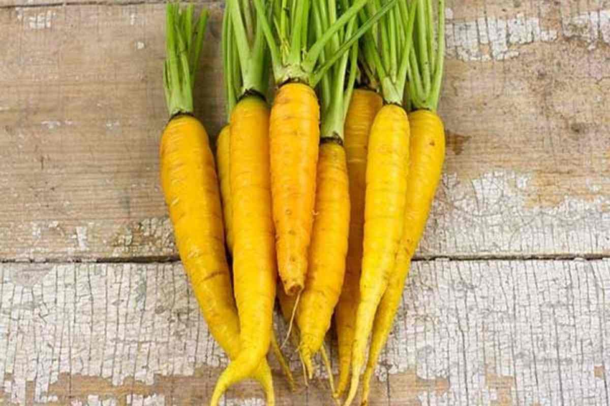 are yellow carrots good for you