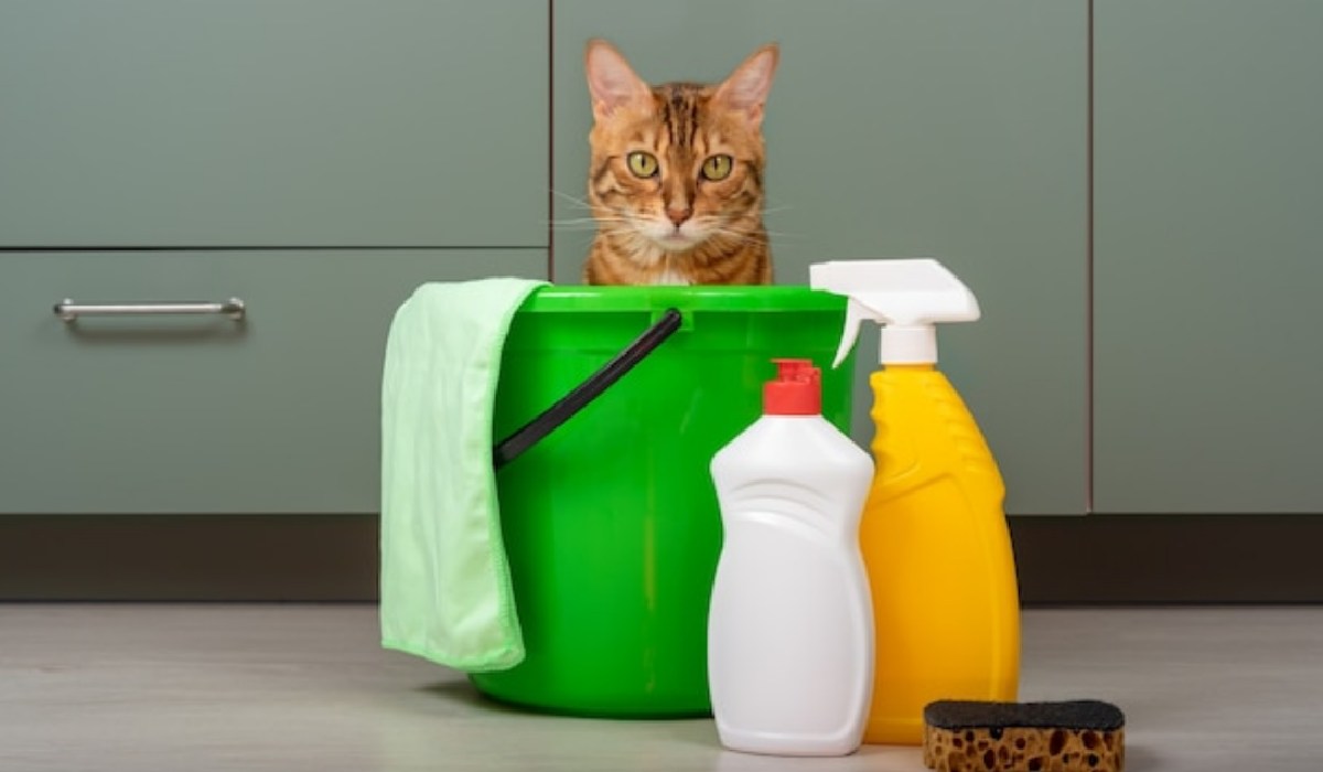 pet safe laundry washing detergent