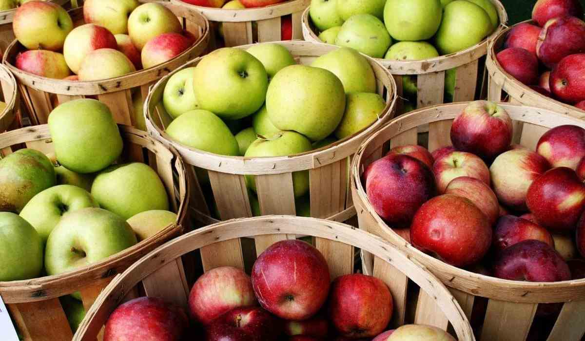Iranian apple price