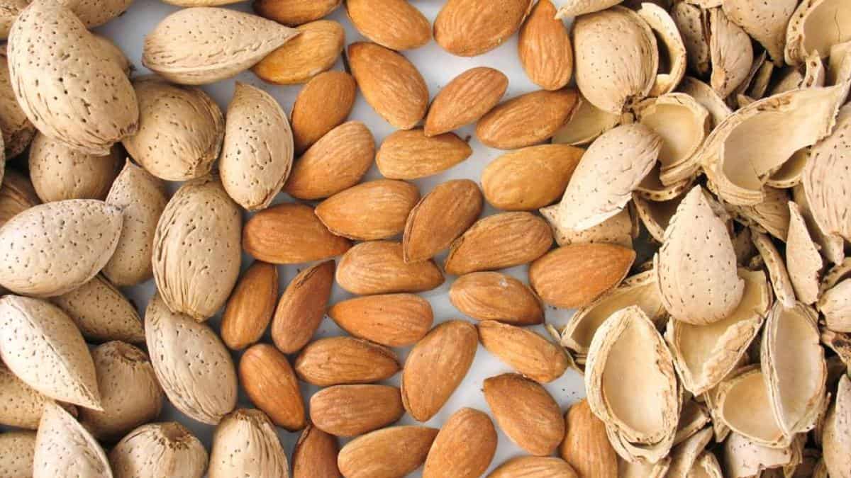 Almond packaging and manufacturer