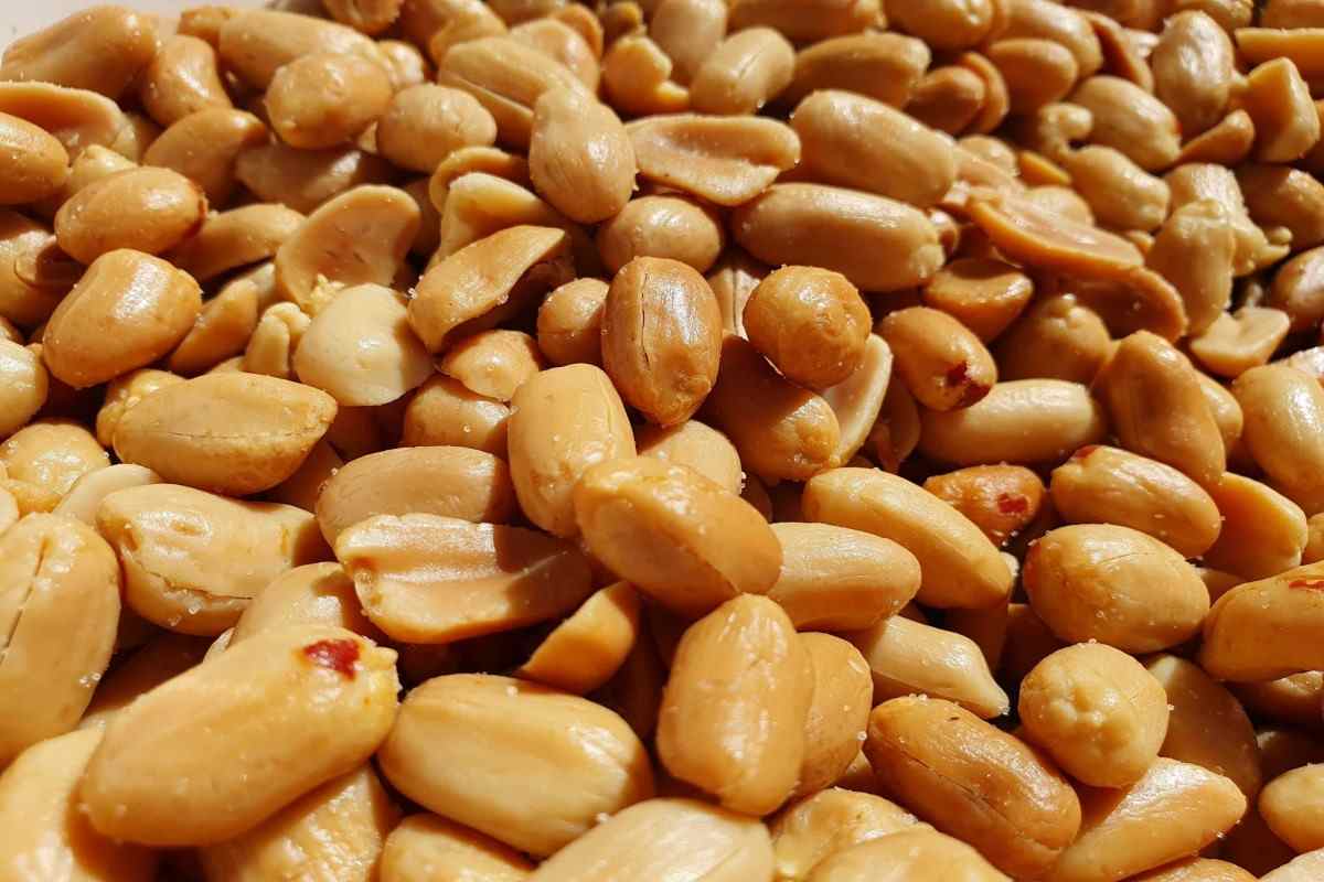 Flavored peanuts manufacturers