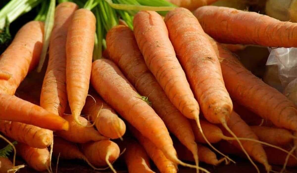 nantes carrots price