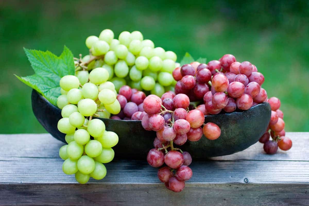 fresh Spanish grapes