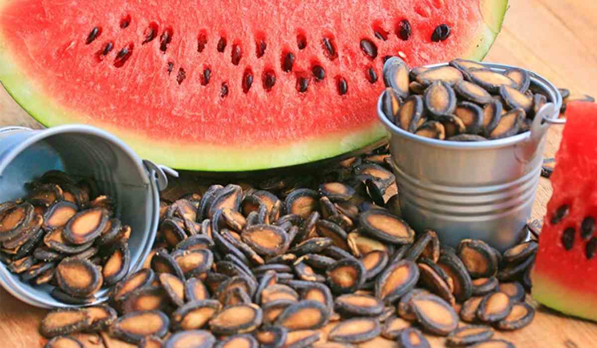 Watermelon seeds nutrition benefits