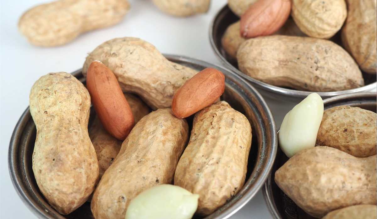 Peanut exporting
