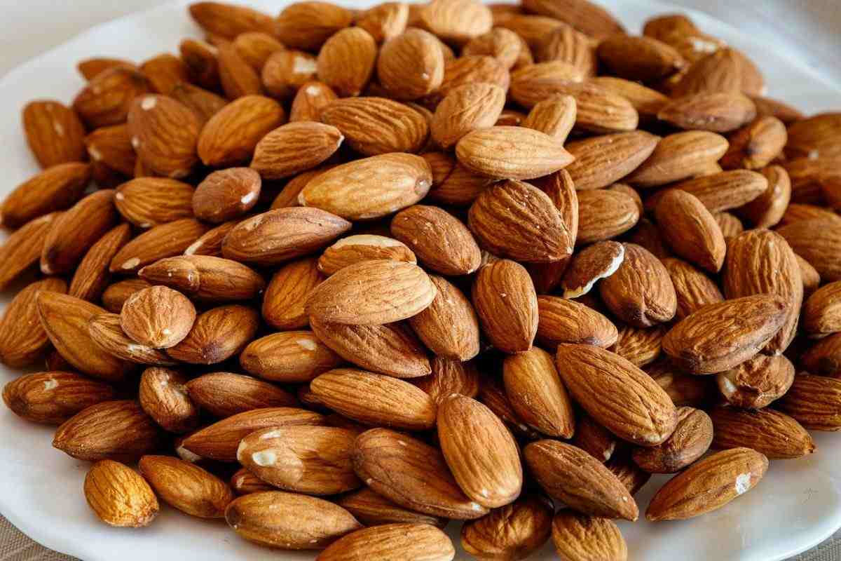 Almond fruits in Iran