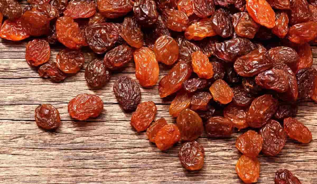 saltanus raisins in india