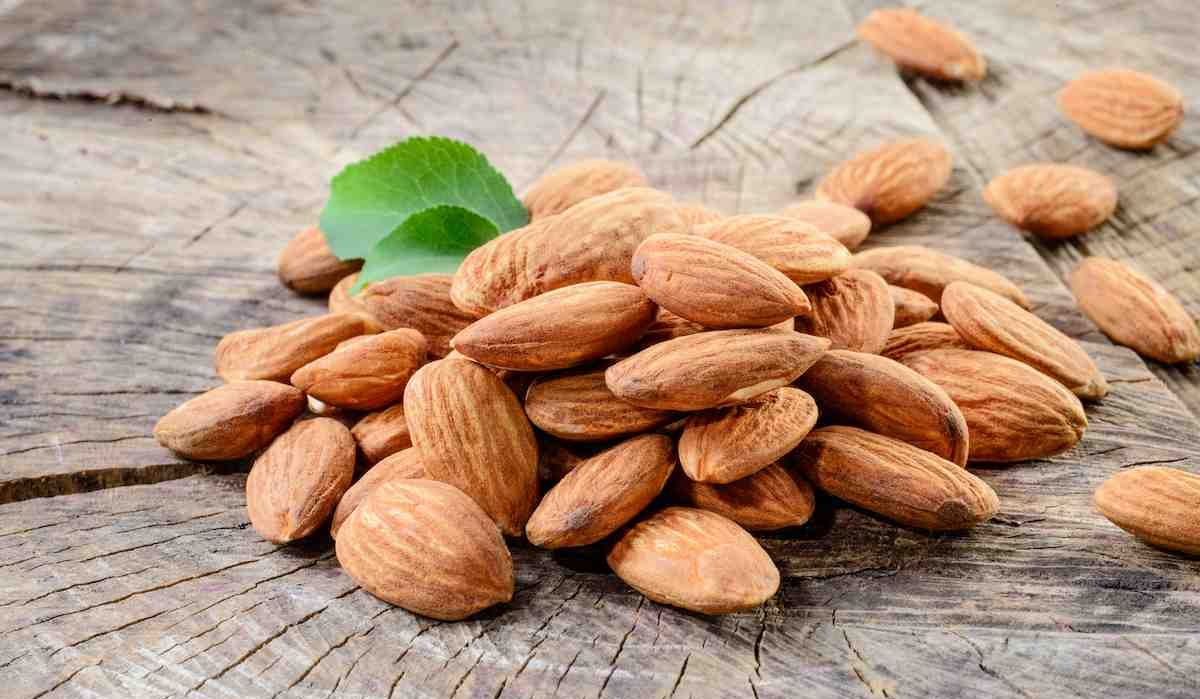 is almond rabi or kharif crop