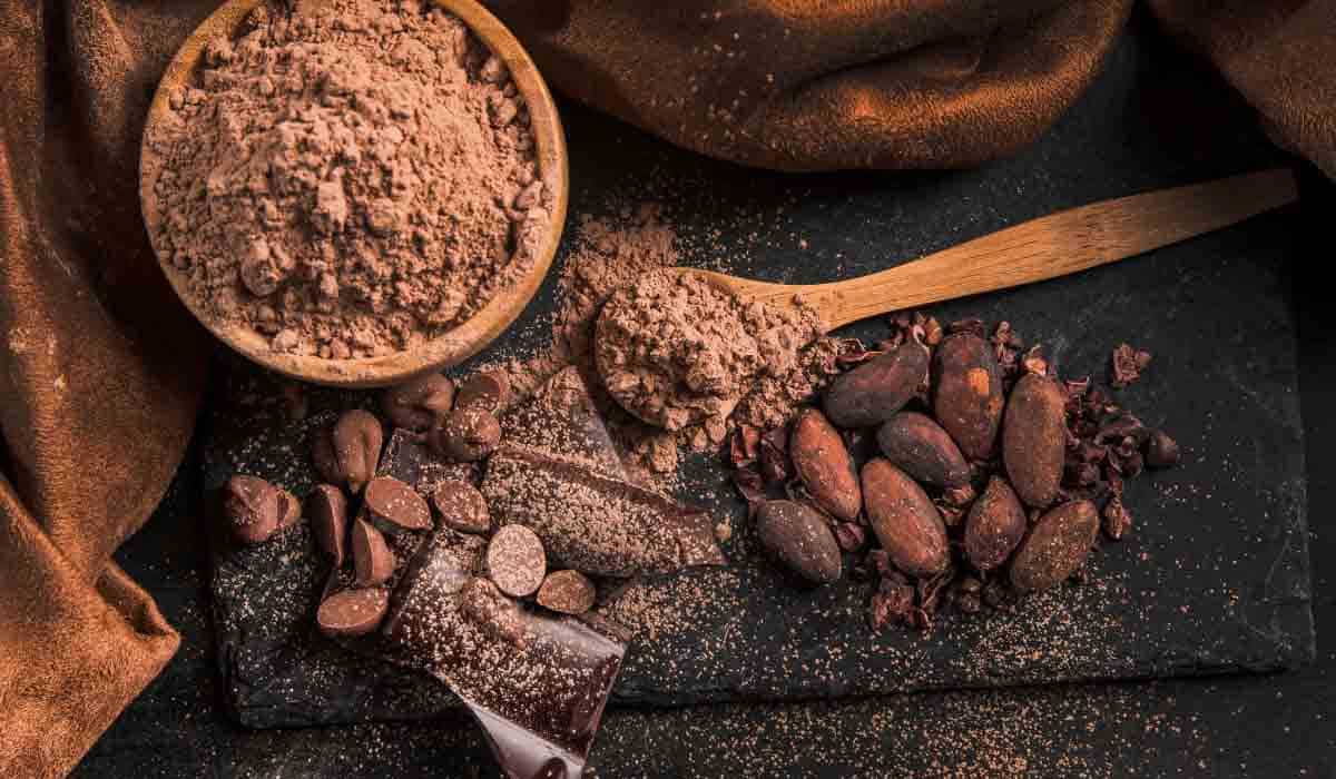 Wholesaler of cacao powder