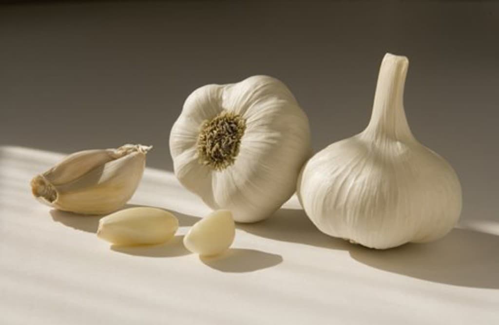 white garlic benefits