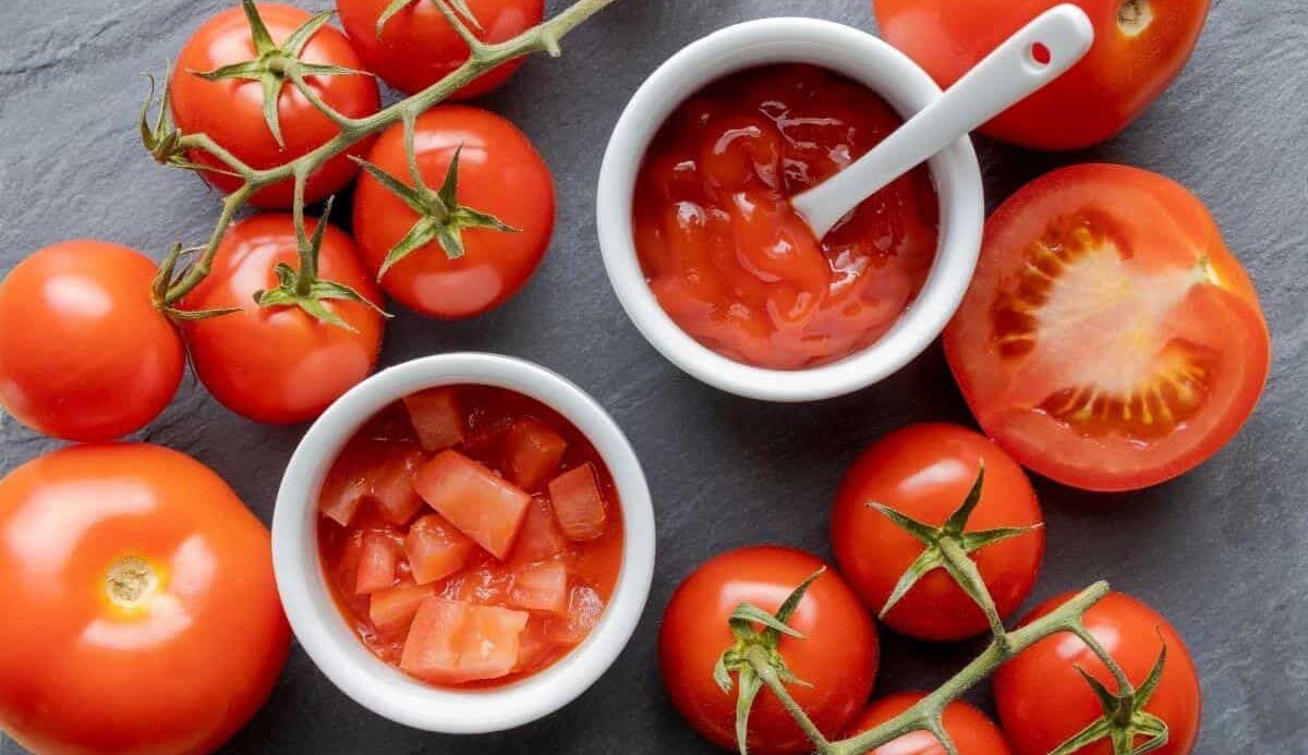 tomato puree shipment