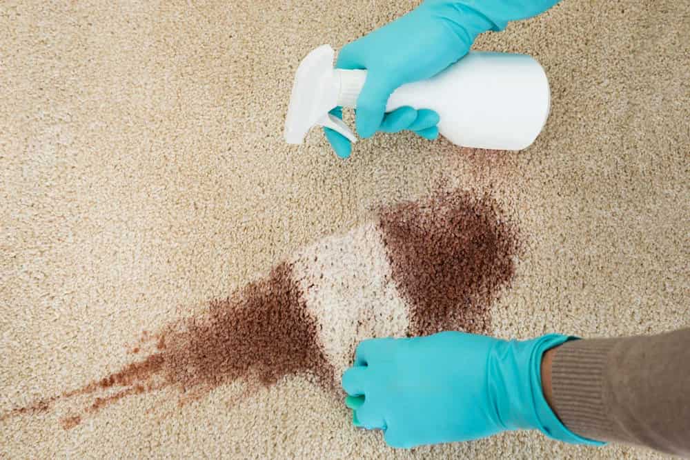 bissell spot carpet cleaner