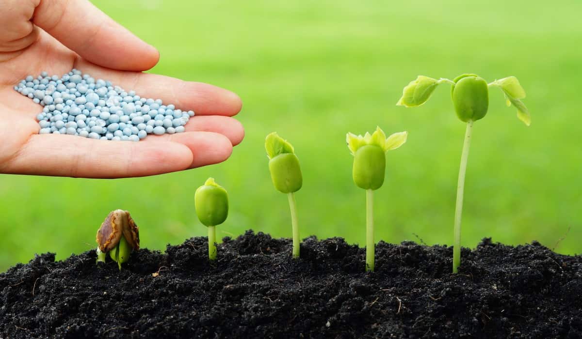 nano fertilizers product in agriculture