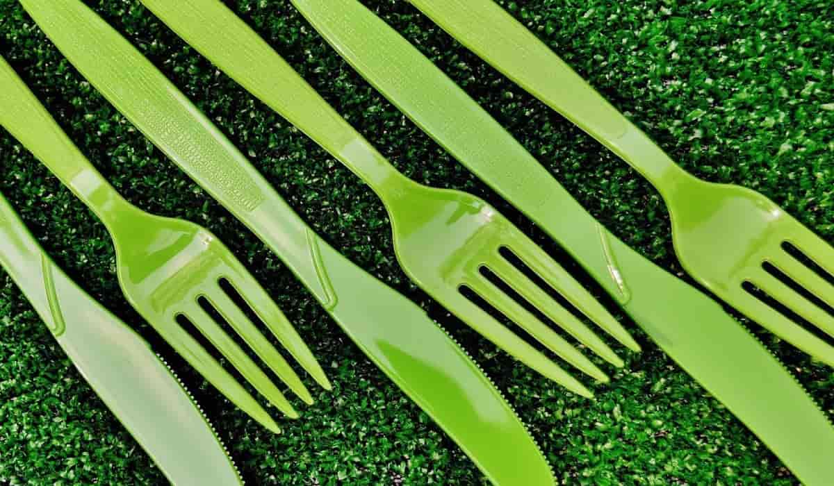 disposable forks bulk