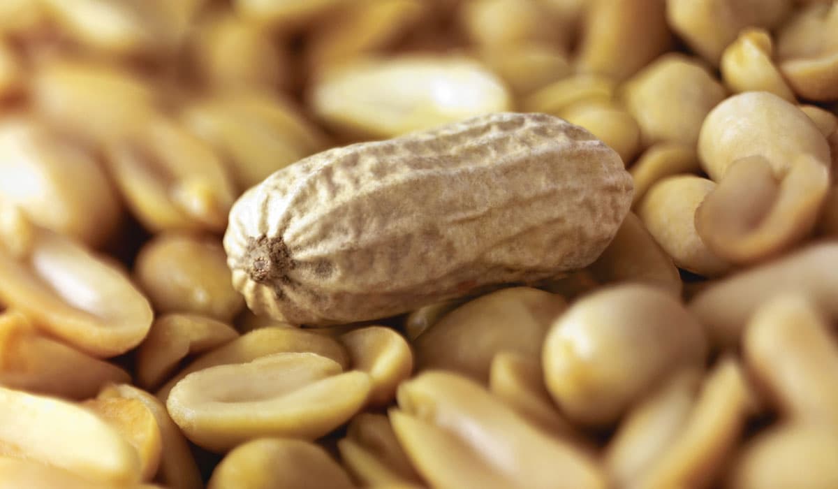 Best peanut