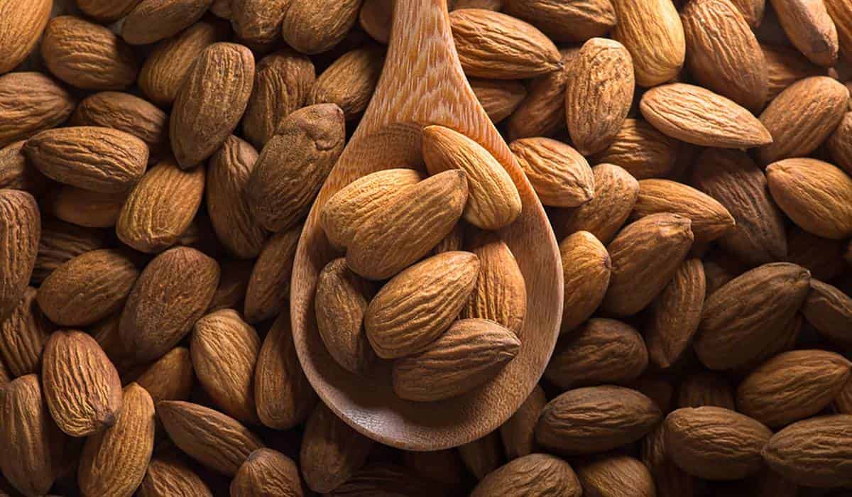 Wholesale almond price in Arab