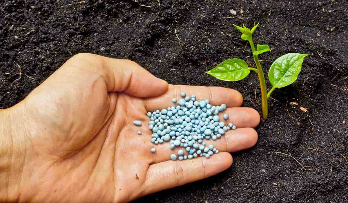 nano fertilizer products