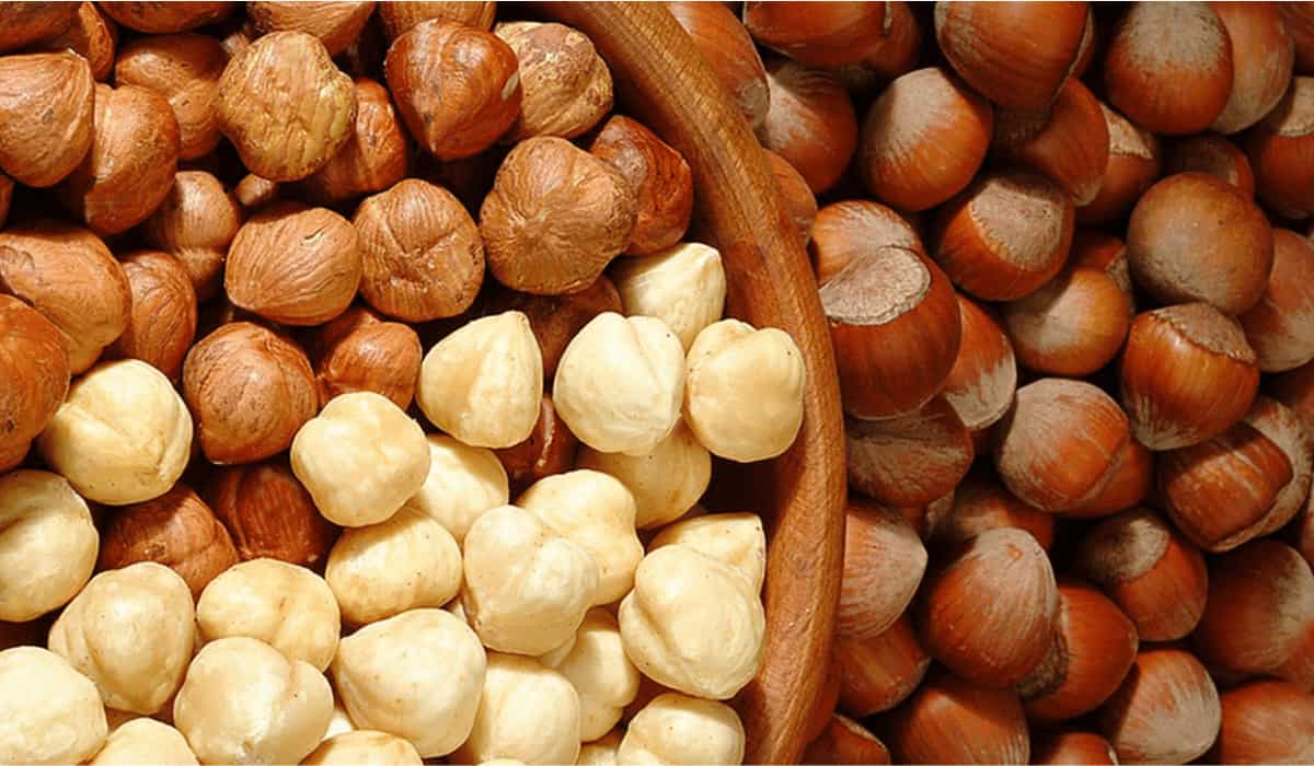 Hazelnut kernels price