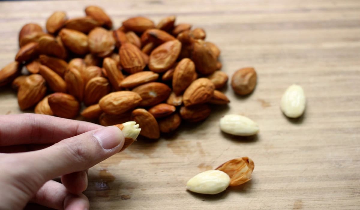 California almond vs kaghazi almond