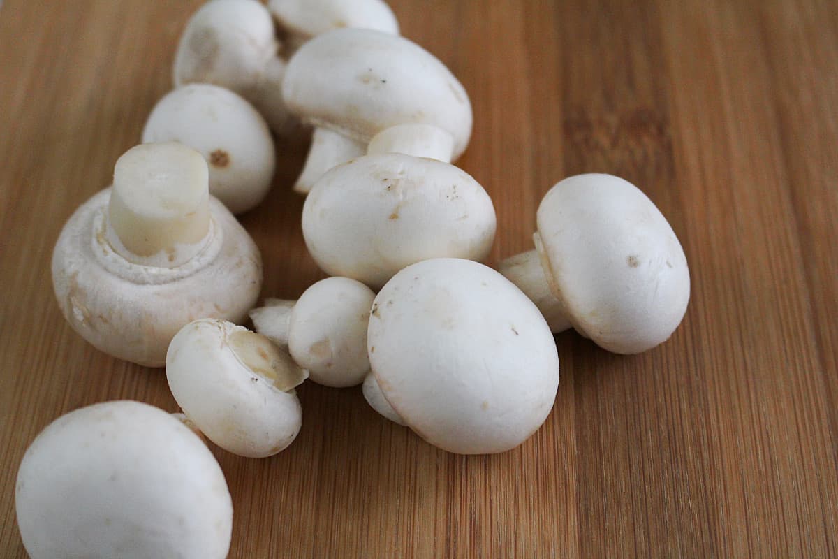 mushroom nutrition protein
