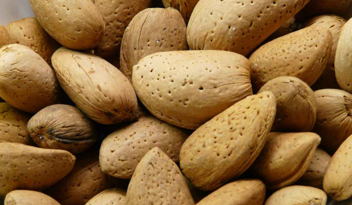 Shelled almonds price