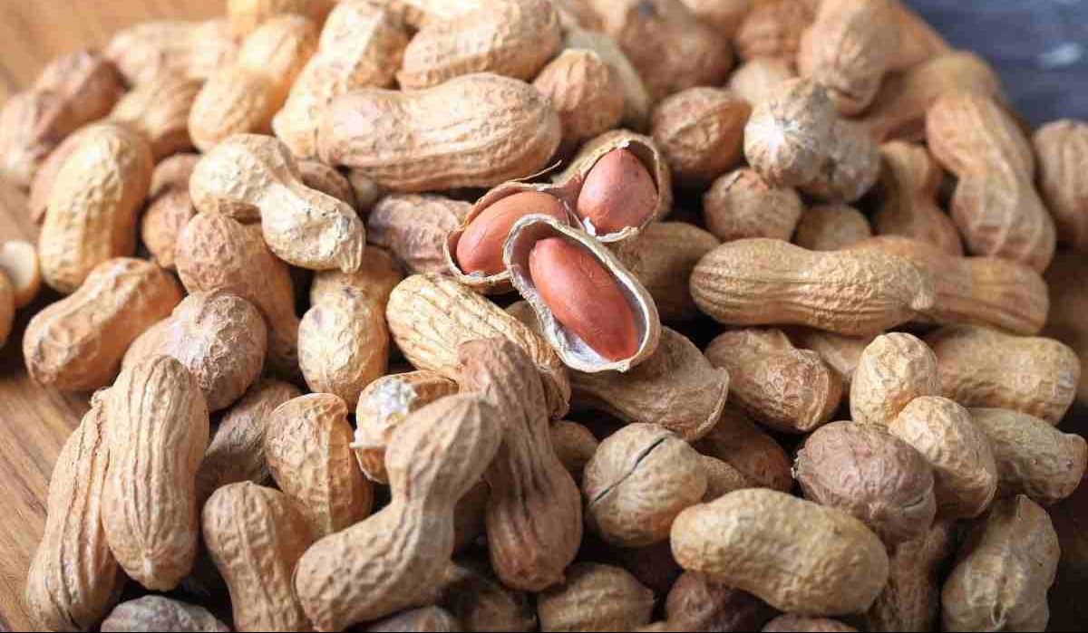 Peanut price in Chennai