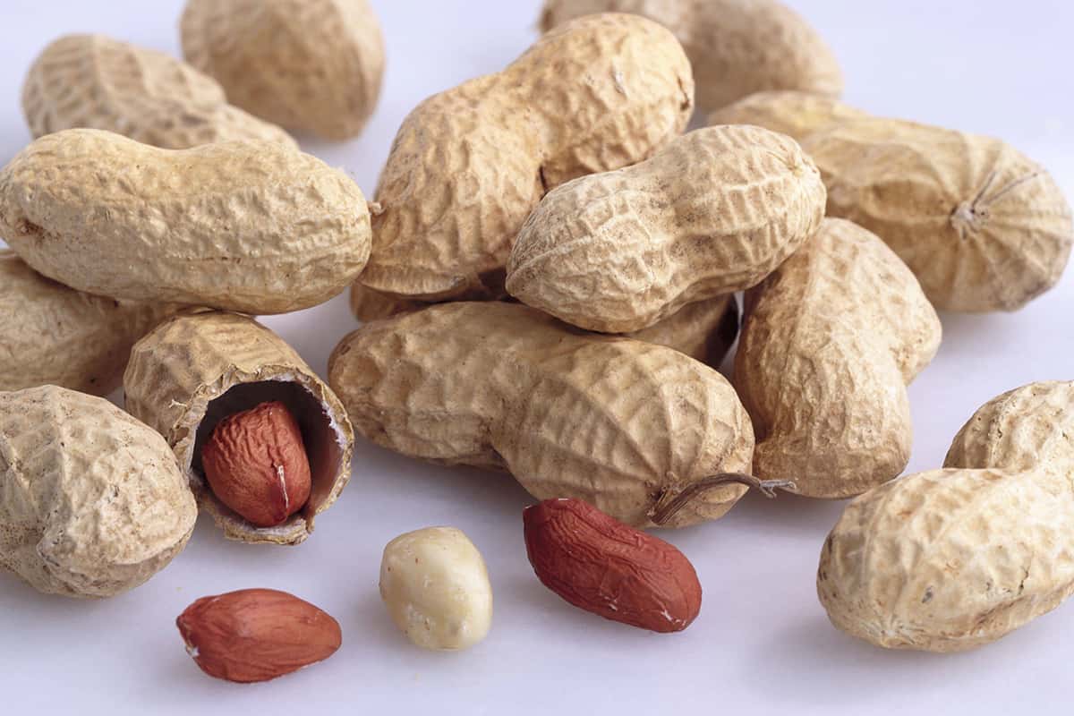 Peanut production in India