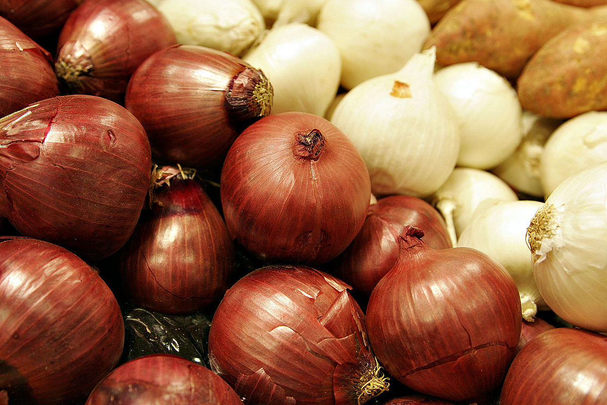 Anti-cholesterol onion