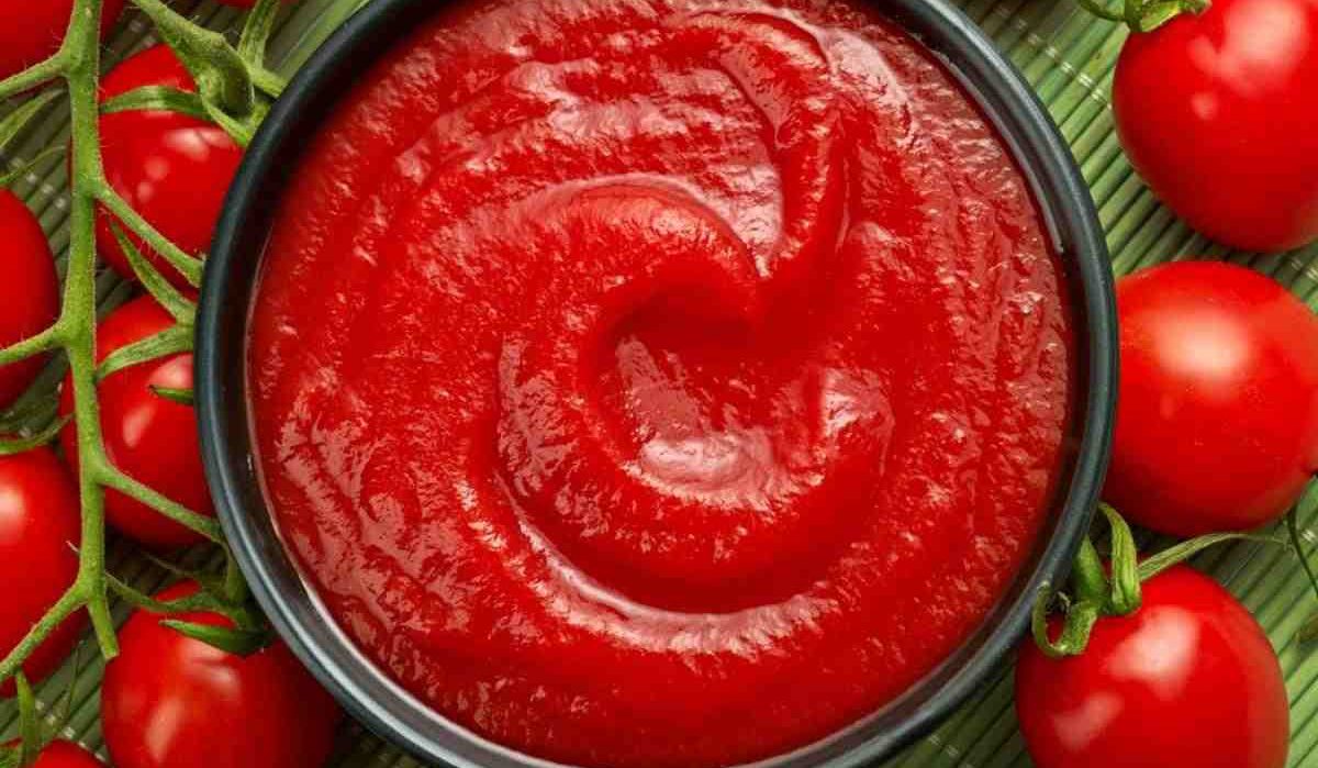 tomato paste recipe for freezing