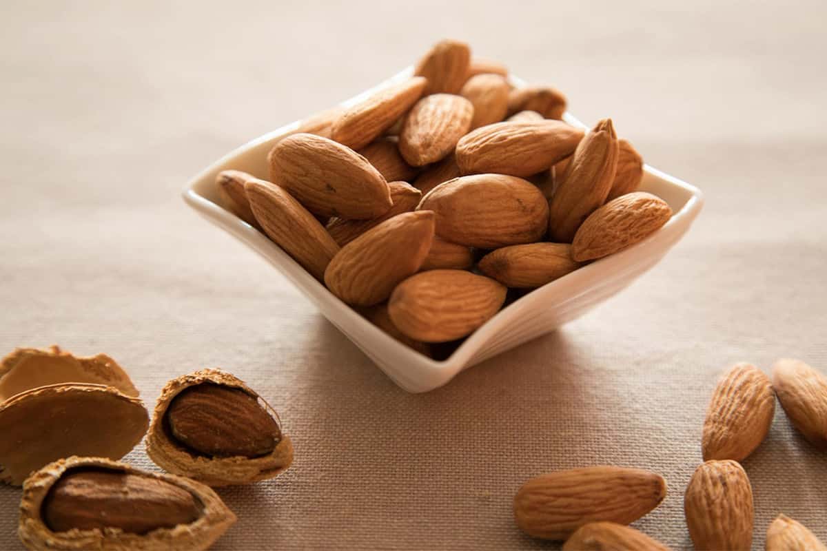 Almond wholesale in India