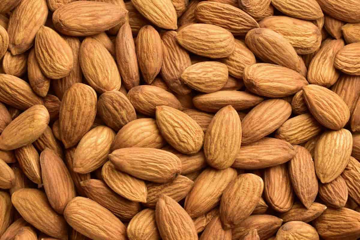 Almond wholesalers