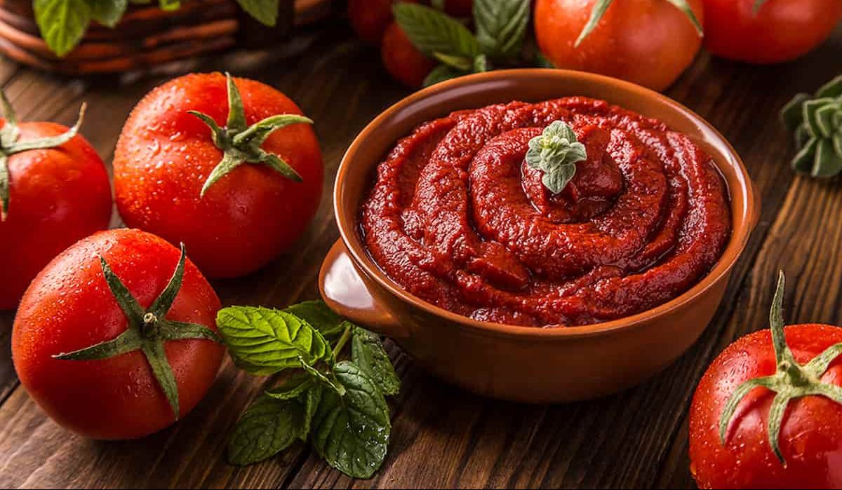 tomato paste packaging design