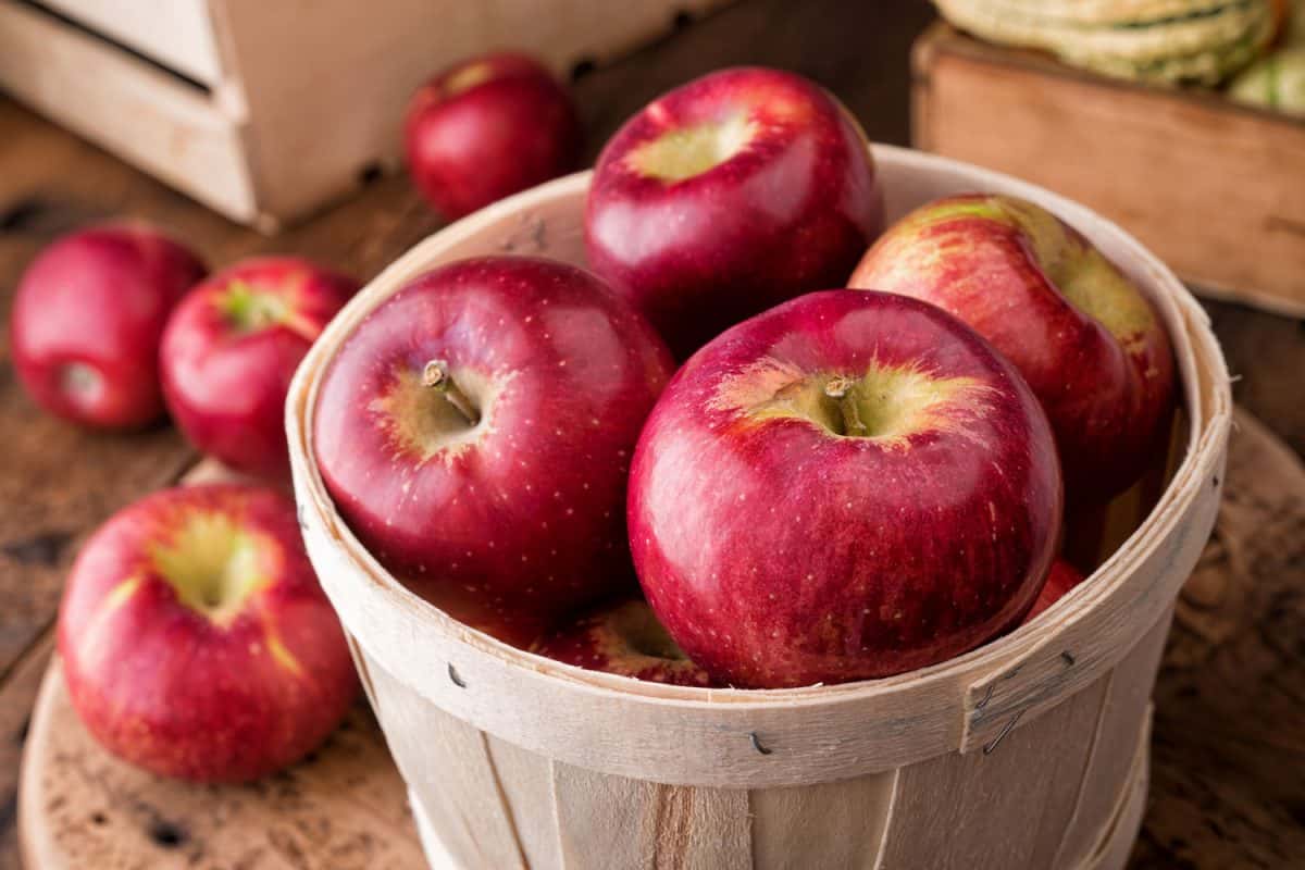 organic red delicious apples healthy facts