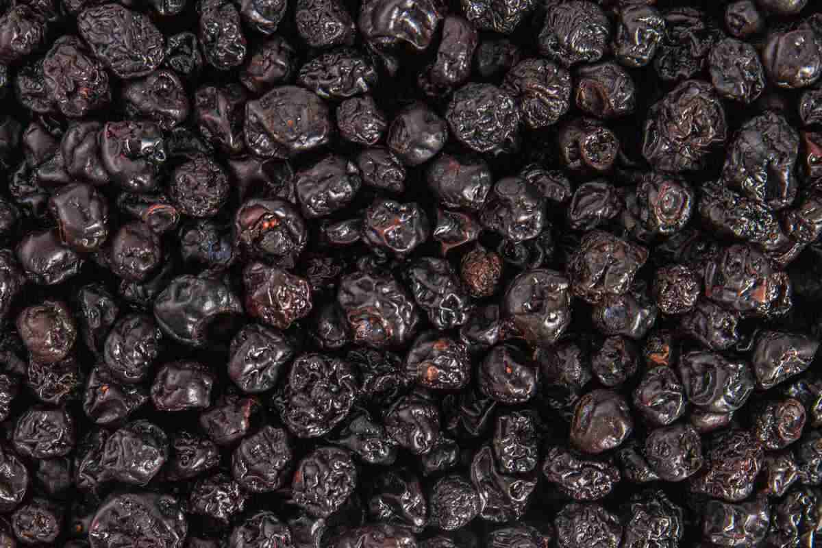 Price of Dried sour cherry