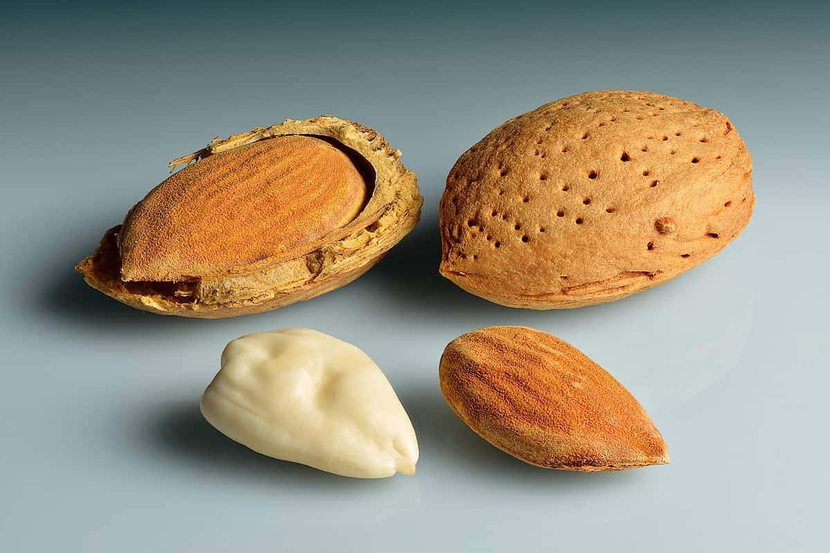 Raw almond nutrition
