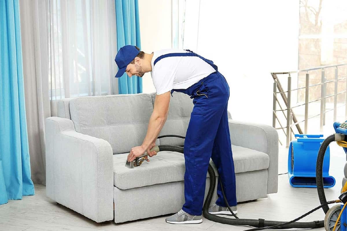 Price and purchase of Carpet and Sofa Cleaner Machines + Cheap